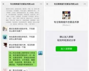 微信群裂变推广分享加群HTML源码 动态聊天对话记录生成-极速新云源码网-每日更新免费软件源码、网站模板、技术教程,涵盖PHP/Java/Python等资源,助您快速建站。立即下载,加入10万开发者社区!-极速新云源码网
