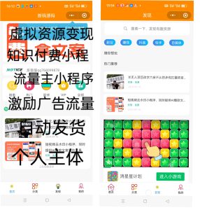 虚拟资源变现小程序/知识付费小程序/流量主小程序/激励广告流量主小程序/自动发货-极速新云源码网-每日更新免费软件源码、网站模板、技术教程，涵盖PHP/Java/Python等资源，助您快速建站。立即下载，加入10万开发者社区！-极速新云源码网