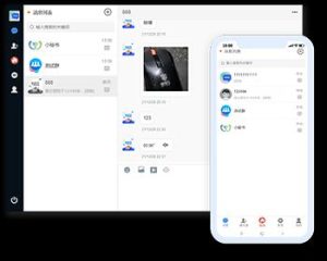 聊天系统 即时通讯 IM聊天 社交 红包 安卓苹果 原生开发 私有部署 后端JAVA-极速新云源码网-每日更新免费软件源码、网站模板、技术教程,涵盖PHP/Java/Python等资源,助您快速建站。立即下载,加入10万开发者社区!-极速新云源码网