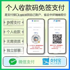 码支付个人免签支付易支付个人收款码支付宝H5微信即时到账免签约支付带APP监控-极速新云源码网-每日更新免费软件源码、网站模板、技术教程，涵盖PHP/Java/Python等资源，助您快速建站。立即下载，加入10万开发者社区！-极速新云源码网